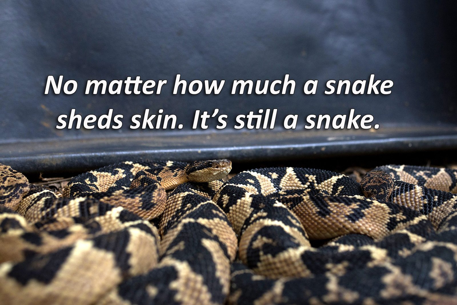 Download-life-lesson-quotes