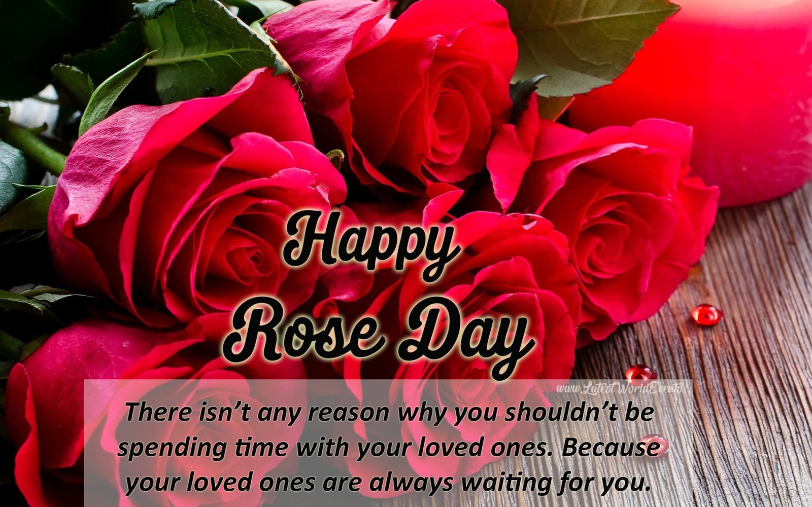 Valentine Rose Day Gifts for Her & Valentines day Wishes Quotes