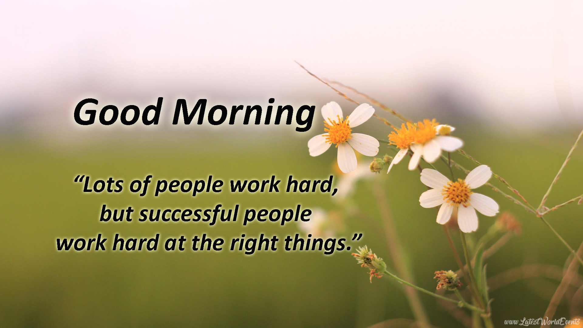 Famous-morning-quotes-for-friends