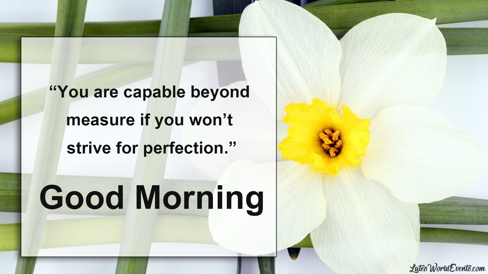 Download-special-good-morning-wishes