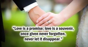 Famous-Married-Couple-Love-Quotes-Wishes