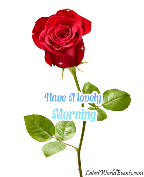 Good Morning My Love GIF Animations Greetings - Latest World Events
