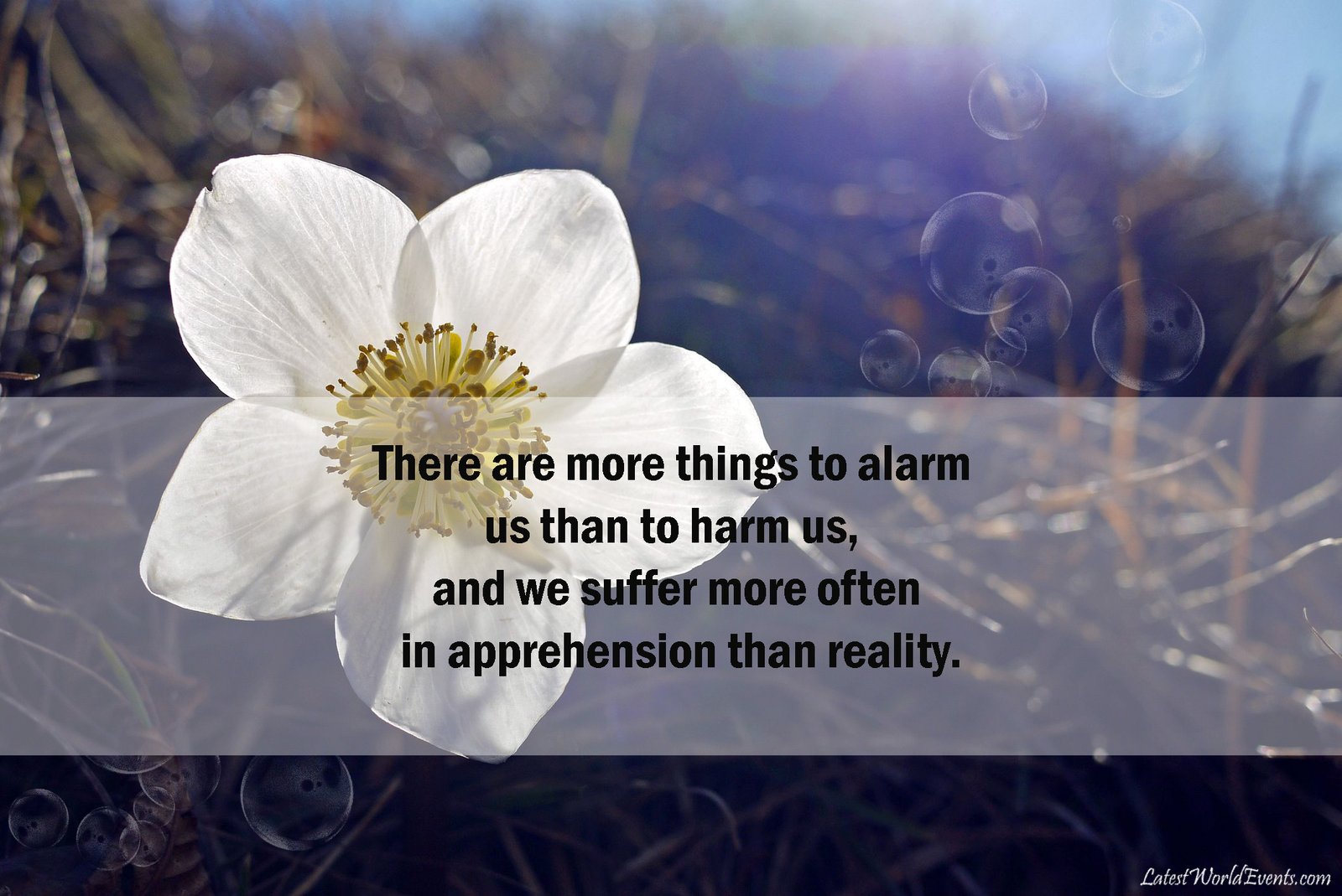 Best-motivational-quotes-images-cards