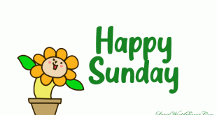 Famous-happy-Sunday-animated-card-images