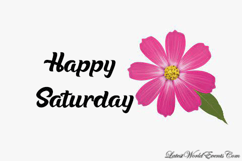 Cute-Saturday-wishes-animations