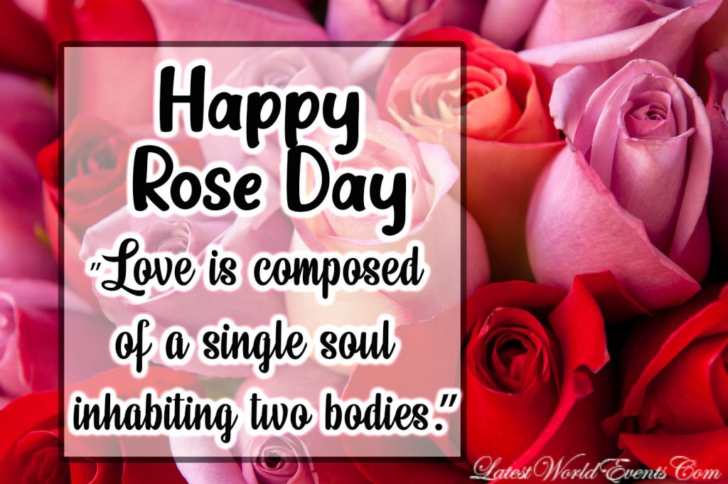 Awesome-true-love-quotes-for-rose-day