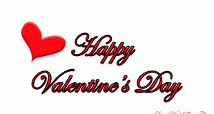 Download-animated-valentines-day-gif