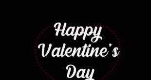 Cute-valentines-day-animation