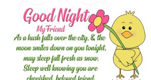 Latest-good-night-quotes-wishes-for-lovely-friend