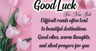 Latest-good-luck-wishes-for-new-job