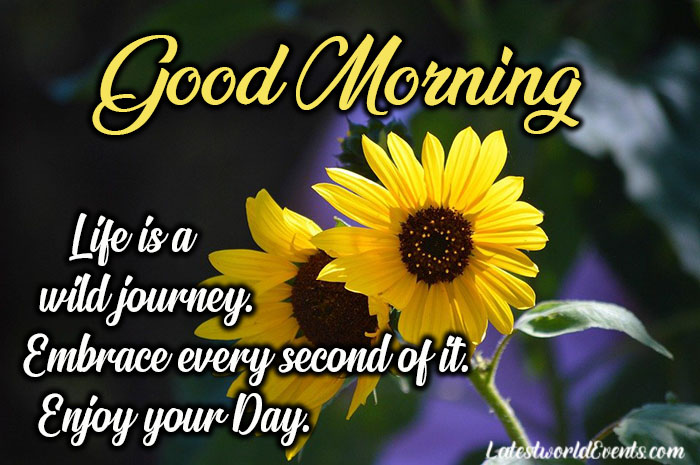 Best-good-morning-messages-images-wishes