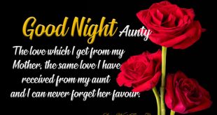 Beautiful-good-night-aunt-quotes-sayings