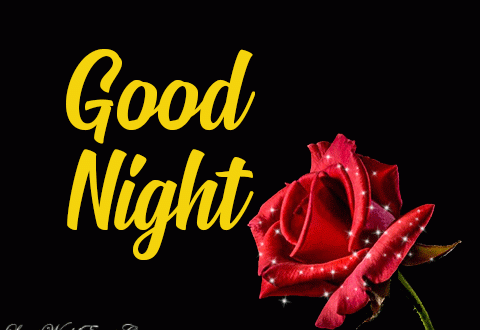 Good Night Friend GIF Images Quotes Messages
