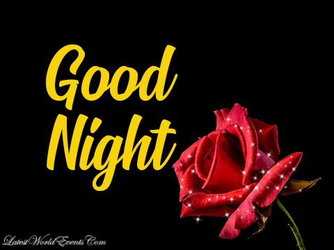 Good Night Friends Images Gif - Infoupdate.org