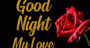Latest-good-night-my-love