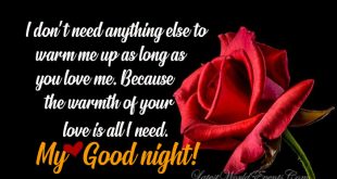 Latest-good-night-my-love-image-wishes-quotes