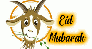 Funny-eid-mubarak-animations-images