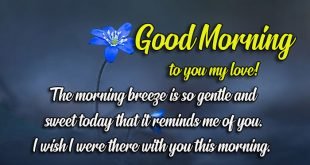 latest-good-morning-message-for-my-love
