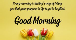 Latest-good-morning-quotes-wishes-images