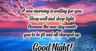 Latest-Funny-Good-Night-Messages-1