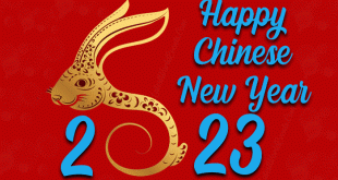 Best-chinese-new-year-animations-2023