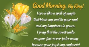 Romantic-Good-Morning-my-king-messages-images