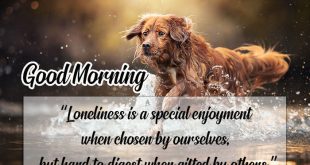 Best-Best-Morning-Motivation-Quotes-About-loneliness