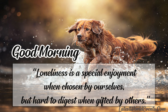 Best-Best-Morning-Motivation-Quotes-About-loneliness