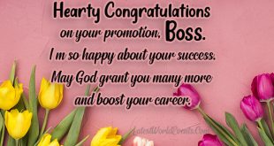 Best-wishes-for-promotion-of-boss
