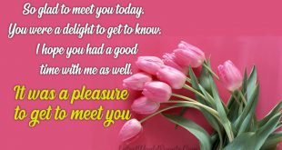 Cute-It-was-a-pleasure-to-meet-you-Messages