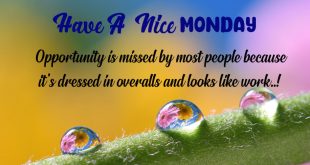 Lovely-Motivational-Monday-Quotes