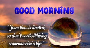 latest-Good-Morning-Motivational-Quotes-Wishes