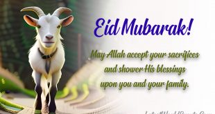 Best-eid-mubarak-wishes-2023-image