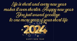 Funny-New-Year-Messages-Quotes